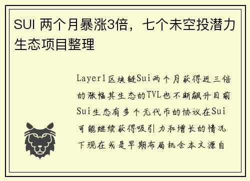 SUI 两个月暴涨3倍，七个未空投潜力生态项目整理